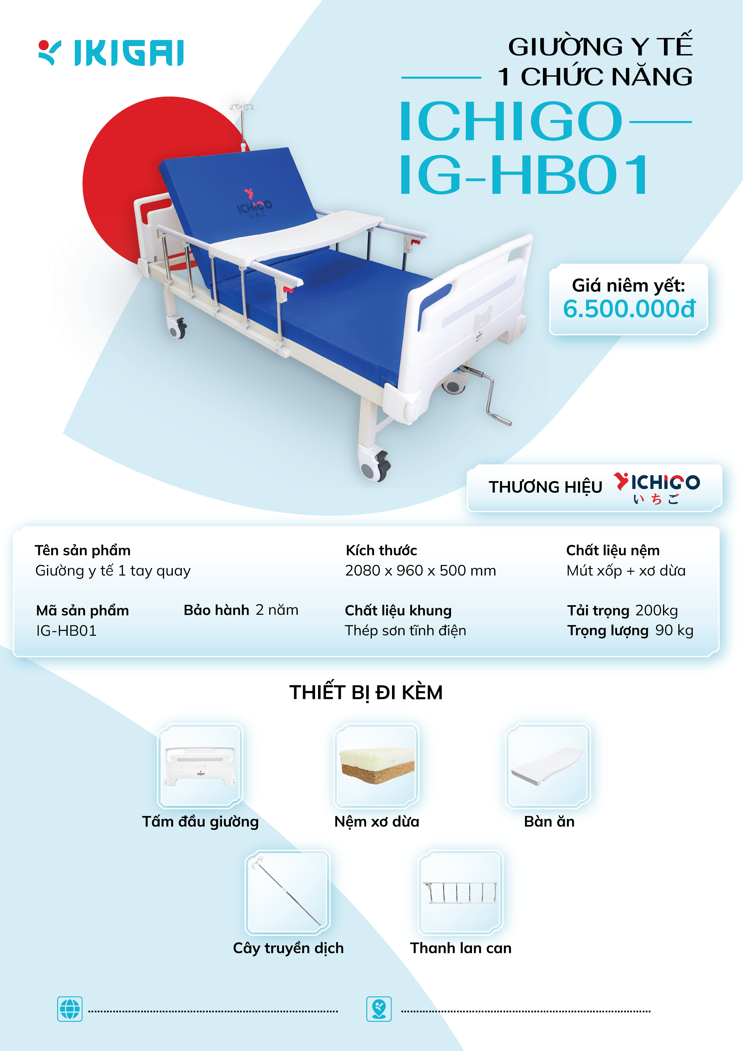 Giường y tế 1 chức năng Ichigo IG-HB01